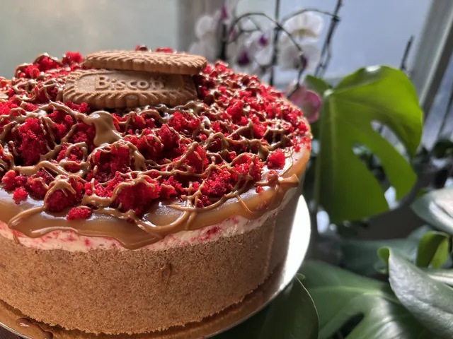A whole Biscoff cheesecake, caramel drizzle and raspberry crumb under a Biscoff cookie