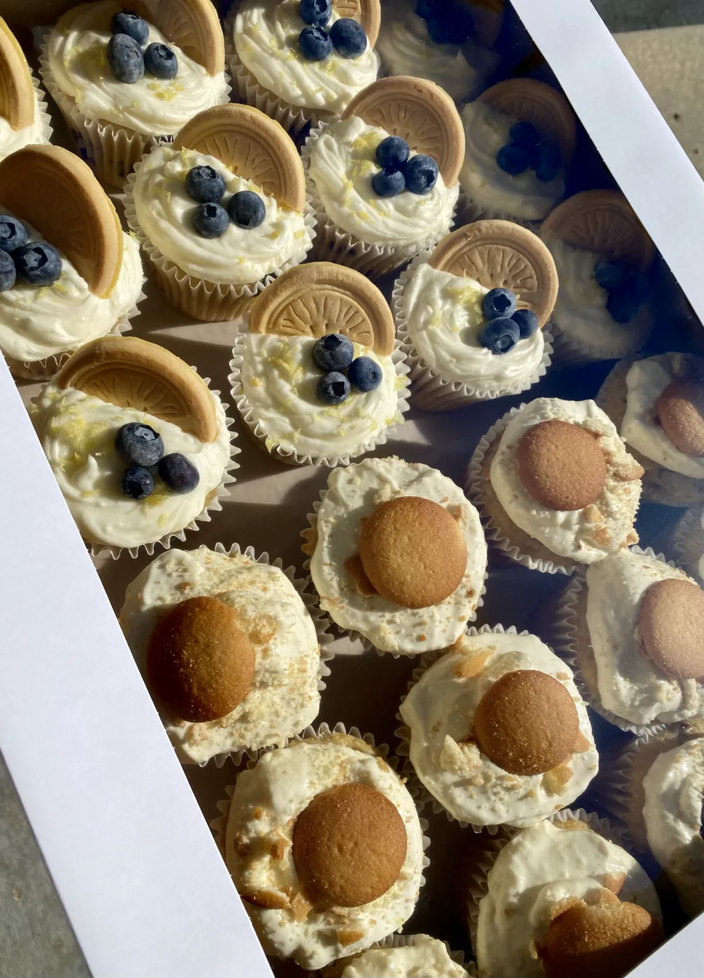 A box of mini cheesecakes and banana pudding cups