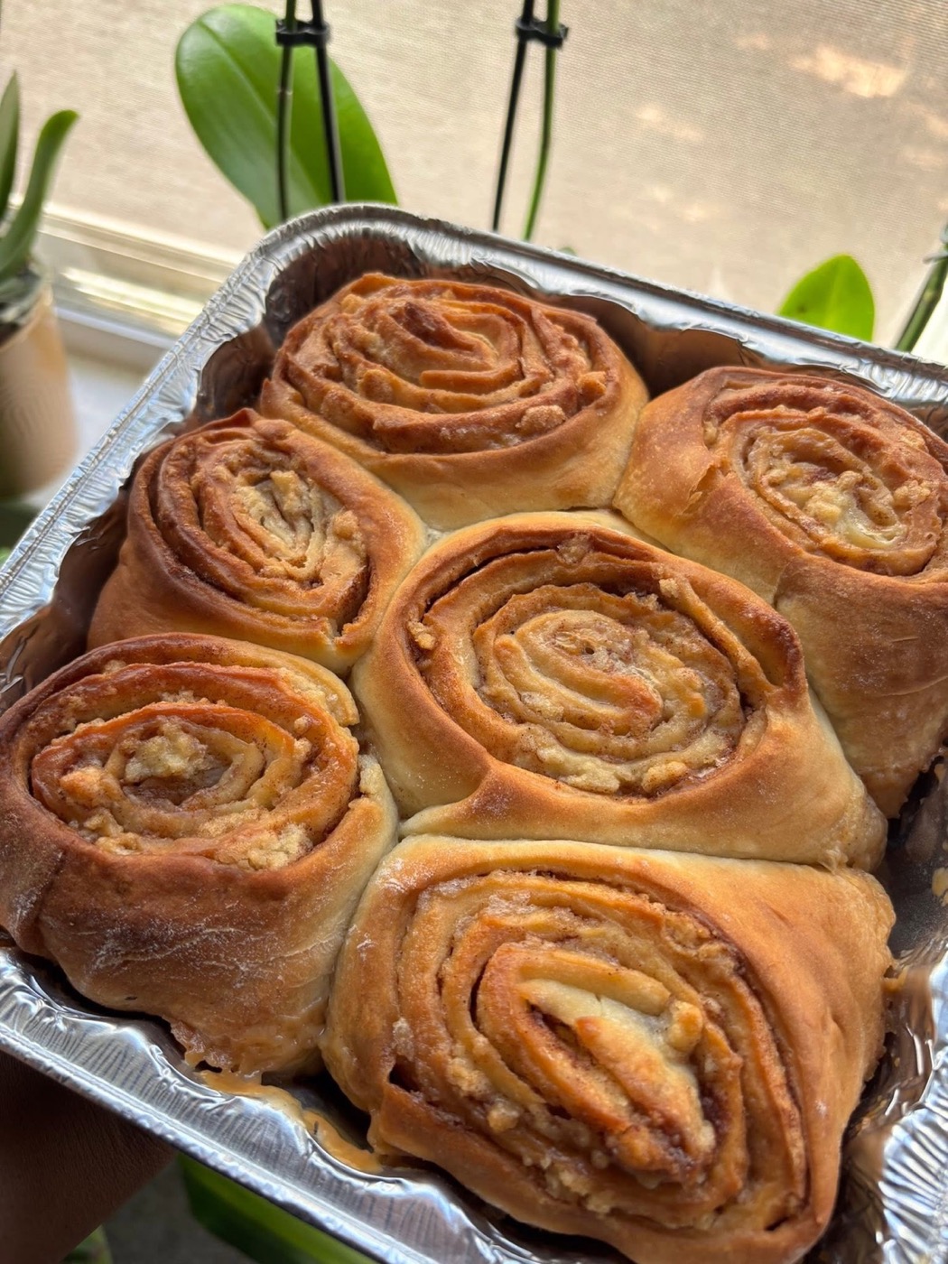 A pan of cinnamon rolls held in two hands